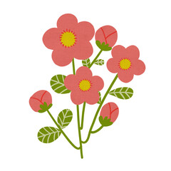 flowers on white