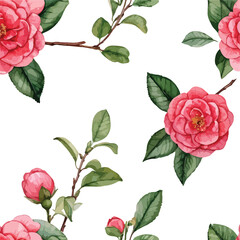 Fototapeta premium Camellias Watercolor illustration. Hand drawn