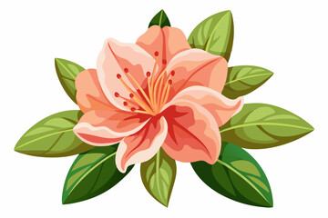 A Single Peach-Colored Flower with Green Leaves