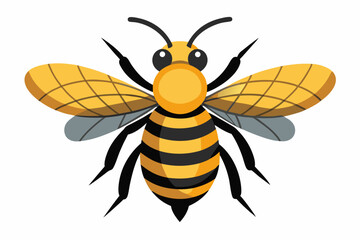 Fototapeta premium Cartoon Illustration of a Honeybee with Yellow and Black Stripes