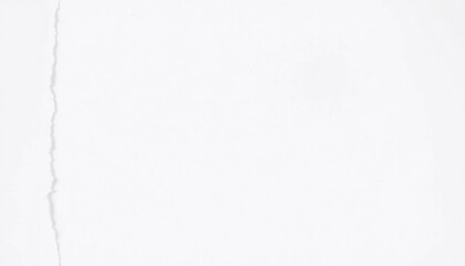 white paper with frayed left edge set off-center on a pristine white backdrop creating room for text or graphics minimalist aesthetic focusing on clean lines and raw texture