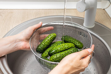 housewife washes fresh cucumbers in a colander. housewife washes fresh cucumbers in the kitchen sink. cucumber harvest. cucumber salad. High quality photo