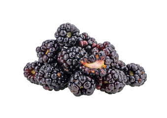 fresh blackberry on transparent png