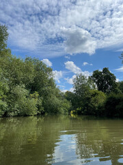 lake in the forest