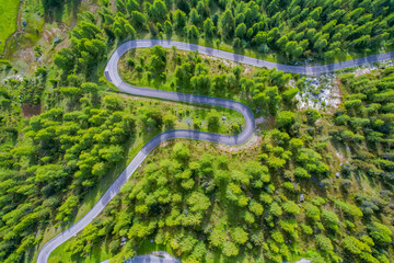Snake Road in the Dolomites. Sunrise aerial forest