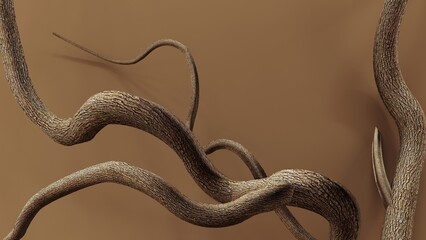 Podium, showcase made of a curved tree branch - 3D rendering. Natural aesthetic minimalistic background for advertising goods, cosmetics.