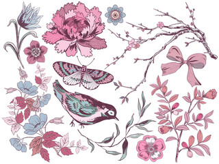 Chinoiserie birds and greenery isolated Traditional eastern asian blooming art with leaves botanical elements. Abstract folk boho plants and flowers.