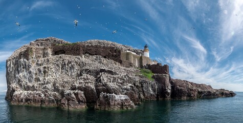 Bass Rock Island With Nesting Northern Gannets (Morus Bassanus) In The Atlantic Ocean Of Firth of...