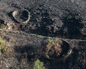 The stone walls of two ancient alvarizas with beehives survive the forest fires in Courel