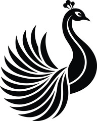 Obraz premium black and white peacock peacock feather vector black and white peacock vector