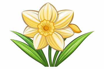 Fototapeta premium A Single Yellow Daffodil Flower with Green Leaves