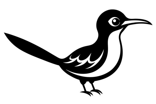 cute jacamar vector silhouette