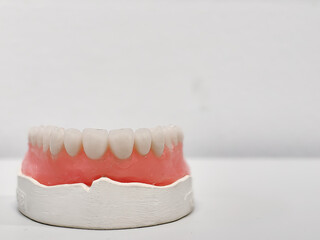 Artificial denture of human teeth of lower jaw