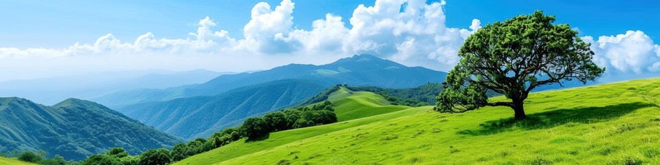 Obraz premium Panoramic view of lush green hills with a solitary tree and blue sky. Serene landscape with mountains in the background on a sunny day.