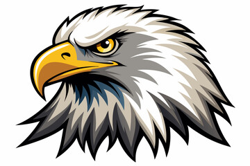 Close-up of a Bald Eagle's Head with a Focused Stare