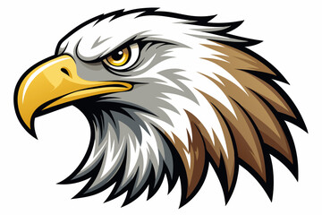 Fototapeta premium Close-up of a Bald Eagle's Head with a Sharp Gaze