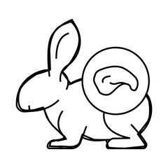 rabbit meat line icon vector. rabbit meat sign. isolated contour symbol black illustration