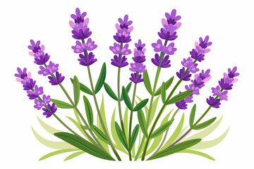 A Bouquet of Lavender Flowers with Green Leaves