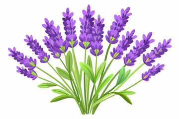 Naklejka premium A Bouquet of Purple Lavender Flowers with Green Leaves