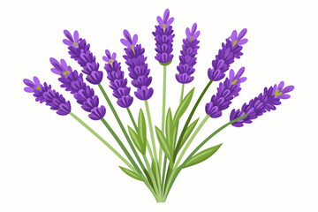 Fototapeta premium A Bouquet of Purple Lavender Flowers with Green Stems and Leaves