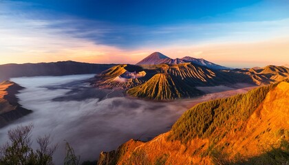 Boy scout making an oath