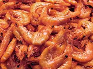 Fresh cooked shrimps full frame as background close up