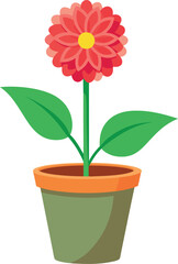 flower in a pot
