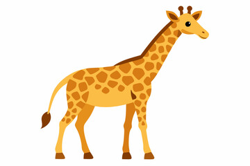 Fototapeta premium A Yellow Giraffe with Brown Spots Standing on a White Background