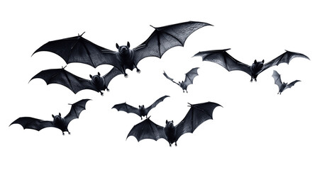 Fototapeta premium Halloween set of black bats flying