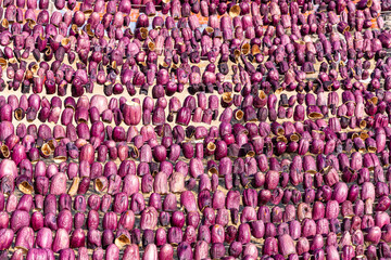 Eggplants hanging on a rope to dry. Eggplants hang for drying process in the sun, Gaziantep,Turkey.