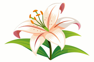 Single White Lily Flower with Green Leaves