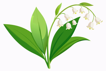 Fototapeta premium A Sprig of Lily of the Valley with White Flowers and Green Leaves