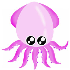 octopus