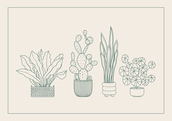 Outline potted plants on a new home greeting card. Sweet home house plants in flowerpots housewarming invitation. Indoor home plants in doodle line art style. House flowers. Linear vector illustration