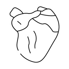 broiler chicken heart line icon vector. broiler chicken heart sign. isolated contour symbol black illustration