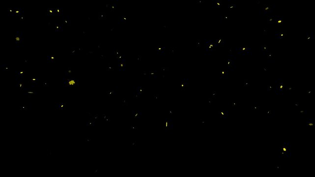 Animated autumn season maple leaves falling down loop background.