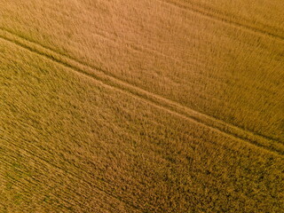 Landscape view from drone, yellow fields and haystacks. 