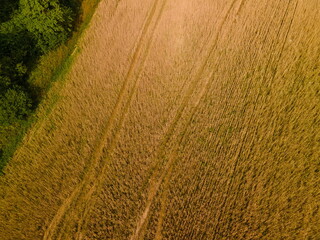 Landscape view from drone, yellow and green fields and haystacks, sky with white clouds. 