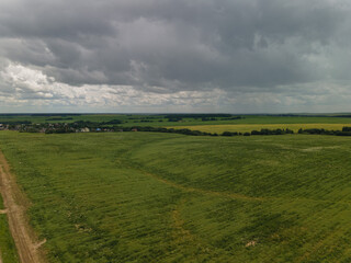Landscape view from drone, yellow and green fields and haystacks, sky with white clouds. 
