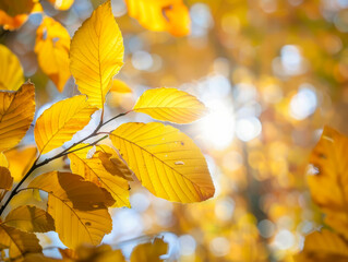 Obraz premium Two soft pink caps rest on a matching surface, casting gentle shadows in natural light