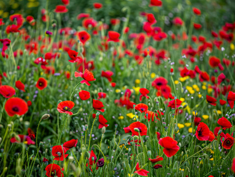 Connected technology icons overlay city skyline during a vibrant sunset showcasing digital integration