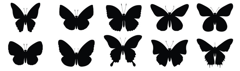 Butterflies silhouette