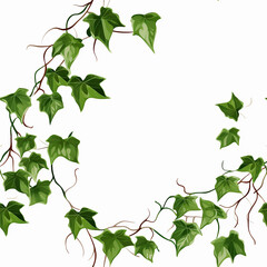 Fototapeta premium Seamless Green Tropical Leaves Javanese Treebine, Grape Botanical Ivy Vine Plants on White Background. Textile, Fabric, Packaging, Banner, Decor, Wrap, Fashion, Accessories, Web, Wallpaper and Social