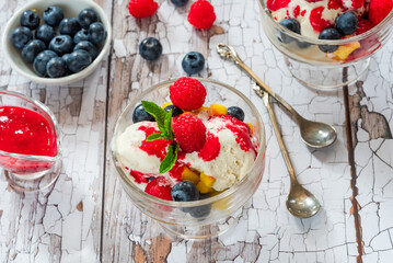Vanilla ice cream dessert with fresh fruit and raspberry coulis