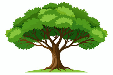 Green tree with brown trunk and branches isolated on white background