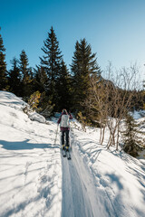 Mountaineer backcountry ski walking ski alpinist in the mountains. Ski touring in alpine landscape with snowy trees. Adventure winter sport. High tatras, Slovakia