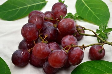 grapes on a white background with leaves