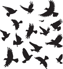 Set of Silhouettes of Birds