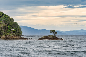 Solitary tree on a rock in the middle of the sea with mountains in the background. Ine Bay landscape in Japan.