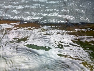 natural water surface texture. abstract background.
